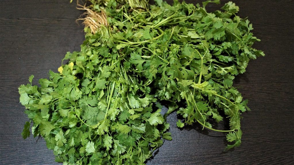 Salsa de yogur y cilantro: un acompañamiento rápido para el picoteo