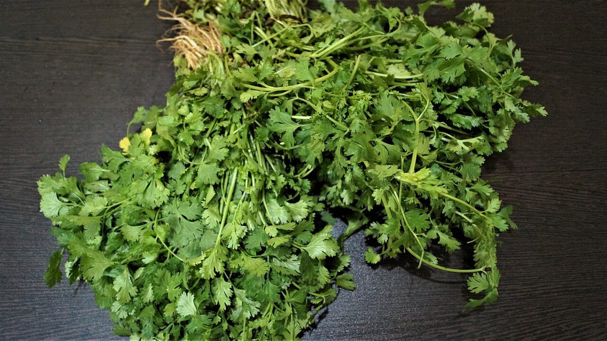 Salsa de yogur y cilantro: un acompañamiento rápido para el picoteo