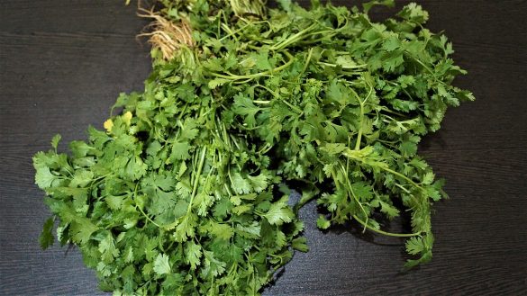 Manojos de cilantro fresco sobre una superficie de madera.